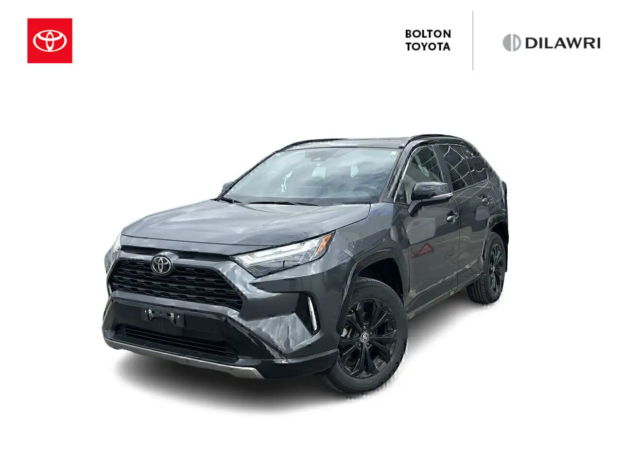2025 Toyota RAV 4