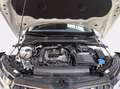 Skoda Kamiq 1.0 tsi ambition 110cv Bianco - thumbnail 10