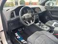 CUPRA Ateca VZ 4Drive*360KAM*PANO*BEATS*SUPERS.LENKRAD*El.Sitz Weiß - thumbnail 13