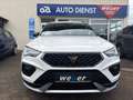 CUPRA Ateca VZ 4Drive*360KAM*PANO*BEATS*SUPERS.LENKRAD*El.Sitz Weiß - thumbnail 3