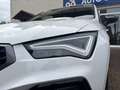 CUPRA Ateca VZ 4Drive*360KAM*PANO*BEATS*SUPERS.LENKRAD*El.Sitz Weiß - thumbnail 7