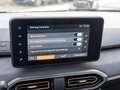 Dacia Jogger Extreme+ TCE 110 7-Sitzer Navi PDC Grijs - thumbnail 17