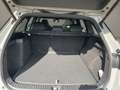 Skoda Kodiaq Kodiaq 1.5 TSI iV Sportline *ACC*AHK*KESSY*360* Grau - thumbnail 17