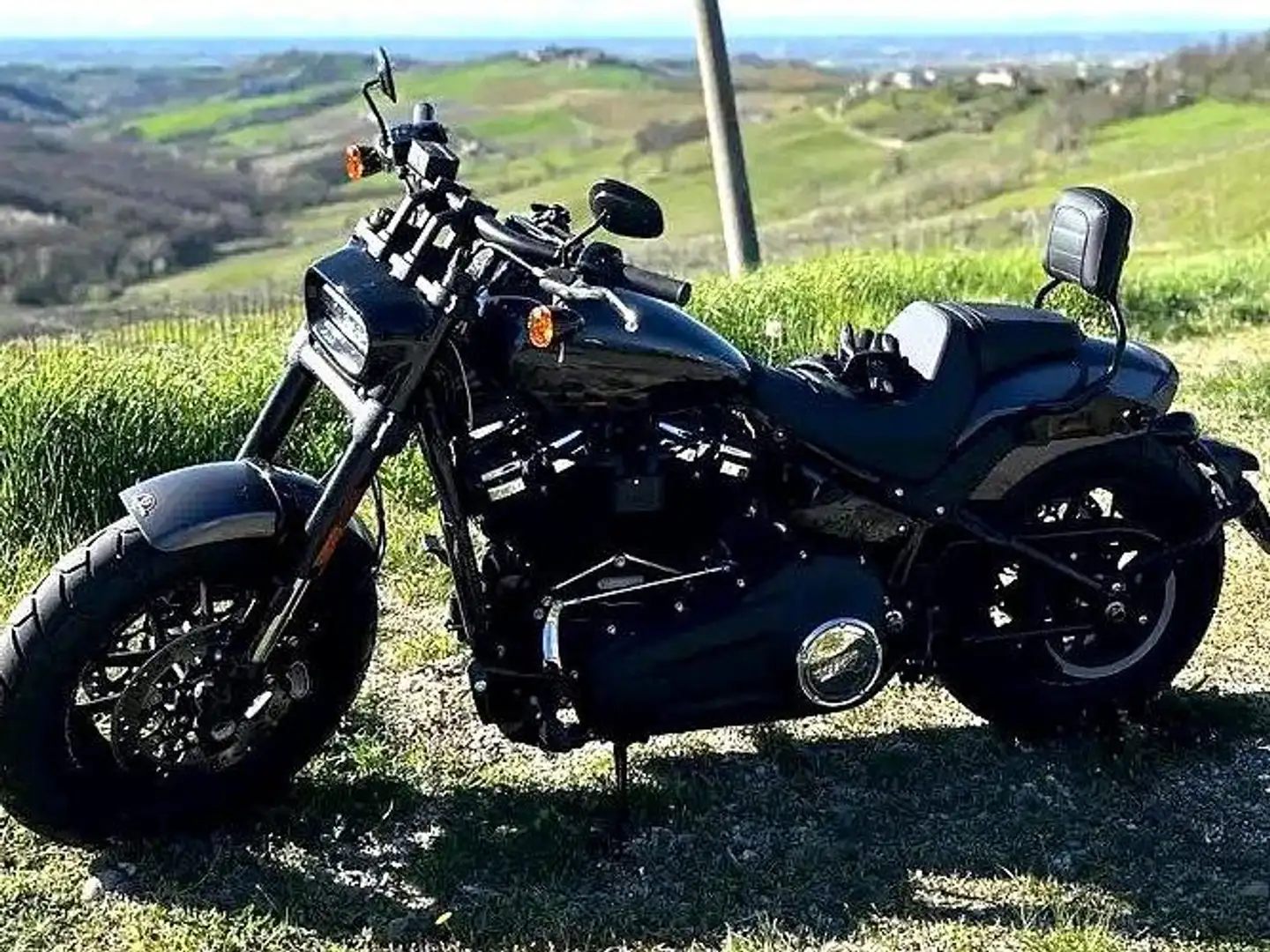 Harley-Davidson Fat Bob Gray Haze / Grigio Chiaro Grigio - 2