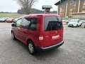 Volkswagen Caddy Kombi TL BMT 1,6 TDI DPF *5-SITZER*PICKERL NEU* Rot - thumbnail 4