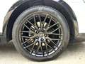 Audi Q3 2,0 TDI Sport quattro Weiß - thumbnail 19