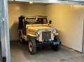 Jeep Willys Cj3b Jeep Vintage žuta - thumbnail 6