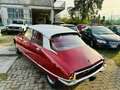 Citroen DS DSpecial DS Special Rosso - thumbnail 8