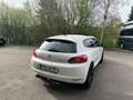 Volkswagen Scirocco 2.0 TDI BMT Match,Bi-Xenon,Pano,19"Alus Blanc - thumbnail 3