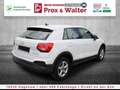 Audi Q2 35 1.5 TFSI 7-S-tronic LED+NAVI+ALU+ALARM Blanc - thumbnail 6