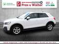 Audi Q2 35 1.5 TFSI 7-S-tronic LED+NAVI+ALU+ALARM Blanc - thumbnail 3