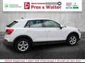 Audi Q2 35 1.5 TFSI 7-S-tronic LED+NAVI+ALU+ALARM Blanc - thumbnail 7