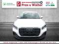 Audi Q2 35 1.5 TFSI 7-S-tronic LED+NAVI+ALU+ALARM Biały - thumbnail 1