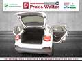 Audi Q2 35 1.5 TFSI 7-S-tronic LED+NAVI+ALU+ALARM Blanc - thumbnail 22