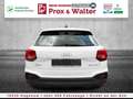 Audi Q2 35 1.5 TFSI 7-S-tronic LED+NAVI+ALU+ALARM Blanc - thumbnail 5