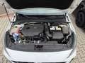 Hyundai i30 i30 2.0 T-GDI DCT N Performance Weiß - thumbnail 14