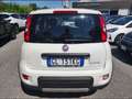 Fiat New Panda 1.0 FireFly Hybrid City Life Bianco - thumbnail 4