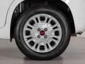 Fiat Panda 1.2 LOUNGE EASYPOWER LPG 5P Wit - thumbnail 8