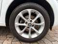 smart forFour Passion Klimaaut. Tempomat Faltdach Blanc - thumbnail 19