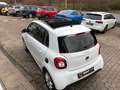 smart forFour Passion Klimaaut. Tempomat Faltdach Blanc - thumbnail 4