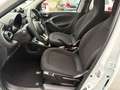 smart forFour Passion Klimaaut. Tempomat Faltdach Blanc - thumbnail 8