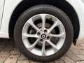 smart forFour Passion Klimaaut. Tempomat Faltdach Blanc - thumbnail 18