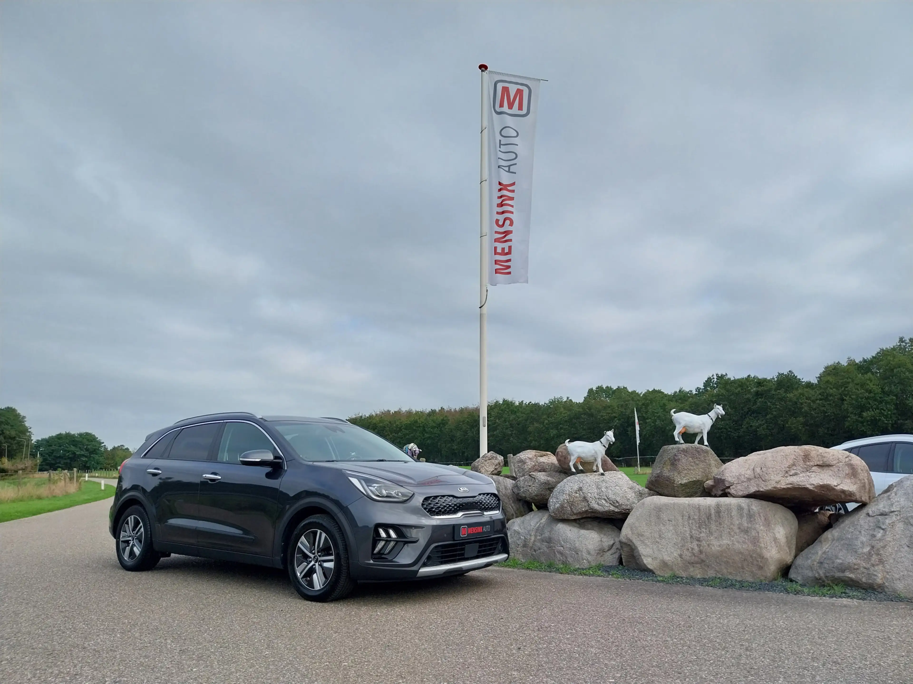 Kia Niro 1.6 GDi Hybrid DynamicLine 1e EIGENAAR TREKHAAK CA — photo 6