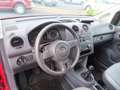 Volkswagen Caddy Kasten 1,6TDI Kombi Kasten  Sitzh. AHK PDC Rot - thumbnail 20