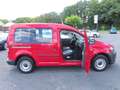 Volkswagen Caddy Kasten 1,6TDI Kombi Kasten  Sitzh. AHK PDC Rot - thumbnail 29