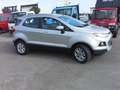 Ford EcoSport EcoSport 1.5 tdci TITANIUM NON è UNA (4X4) Gris - thumbnail 20