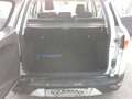 Ford EcoSport EcoSport 1.5 tdci TITANIUM NON è UNA (4X4) Gris - thumbnail 16
