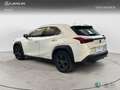 Lexus UX 200 SUV BUSINESS 2.0 Weiß - thumbnail 2