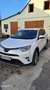 Toyota RAV 4 RAV4 2,5 Hybrid Active 4WD Aut. Active Weiß - thumbnail 1