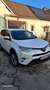 Toyota RAV 4 RAV4 2,5 Hybrid Active 4WD Aut. Active Weiß - thumbnail 2