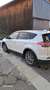Toyota RAV 4 RAV4 2,5 Hybrid Active 4WD Aut. Active Weiß - thumbnail 4