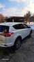 Toyota RAV 4 RAV4 2,5 Hybrid Active 4WD Aut. Active Weiß - thumbnail 3