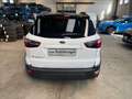 Ford EcoSport 1.0 ecoboost Active s&s 125cv Blanco - thumbnail 4