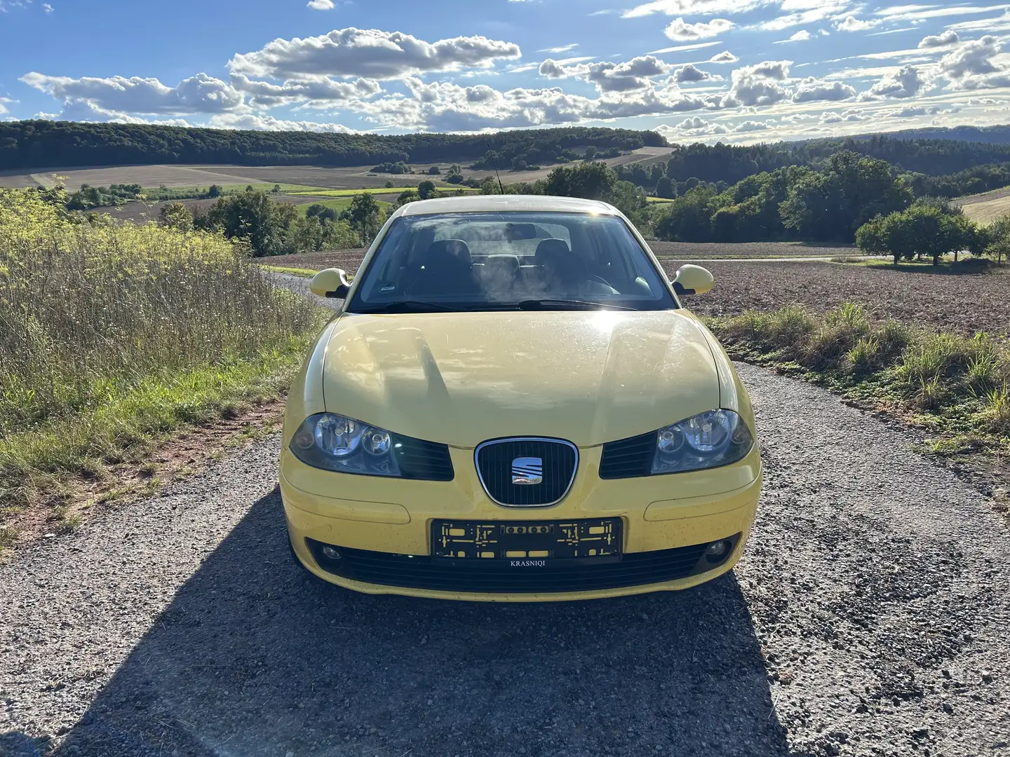 SEAT Ibiza Seat Ibiza 6L 1.4l | Kein TÜV Gelb - 1
