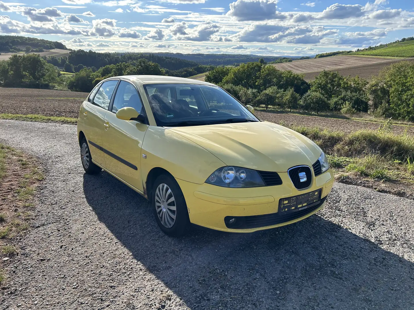 SEAT Ibiza Seat Ibiza 6L 1.4l | Kein TÜV Gelb - 2