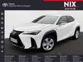 Lexus UX 300h 2.0 Hybrid F-Sport Design LED SHZ Blanc - thumbnail 1