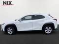 Lexus UX 300h 2.0 Hybrid F-Sport Design LED SHZ Blanc - thumbnail 4