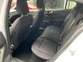 Ford Focus 1.0 EcoBoost ST Line 125 PK | Adaptive LED | B&O | Blanc - thumbnail 10