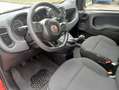 Fiat Panda Cross 1.0 FireFly S&S "CROSS" Hybrid KM 19000 Rojo - thumbnail 11
