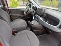 Fiat Panda Cross 1.0 FireFly S&S "CROSS" Hybrid KM 19000 Rojo - thumbnail 14