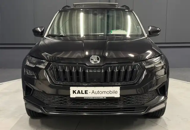 Skoda Karoq view 10