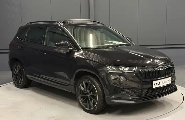 Skoda Karoq view 9
