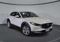 Mazda CX-30 SKYACTIV-X 2.0 M-Hybrid AWD Aut. SELECTION Weiß - thumbnail 1