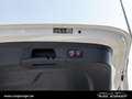 Mercedes-Benz GLE 300 d 4M AMG Line *AHK*Pano*Burm*KeyGo*MBeam Weiß - thumbnail 8