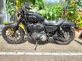 Harley-Davidson Sportster 883 Negru - thumbnail 2
