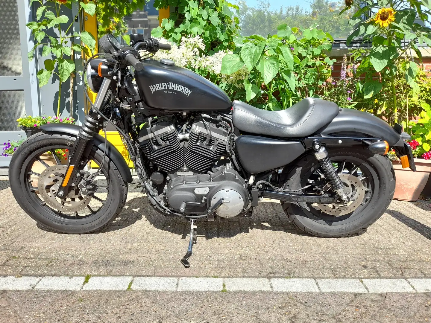 Harley-Davidson Sportster 883 Negru - 2